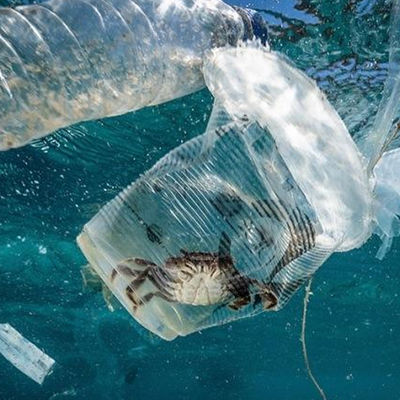 Обслуживание удостоверения подлинности третьей стороны власти загрязнения образования испытывая лаборатории Ul почвы и воды биологическое