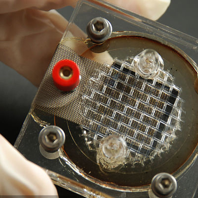 Испытание третьей стороны LPS SELV EMC компаний испытывая лабораторий электроники оборудования Reverberator и обслуживания удостоверения подлинности