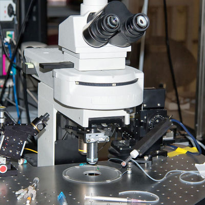 Аттестация CE FCC бытовой техники испытывая глобальный испытывать продукта экспорта для обслуживания удостоверения подлинности электрического вентилятора