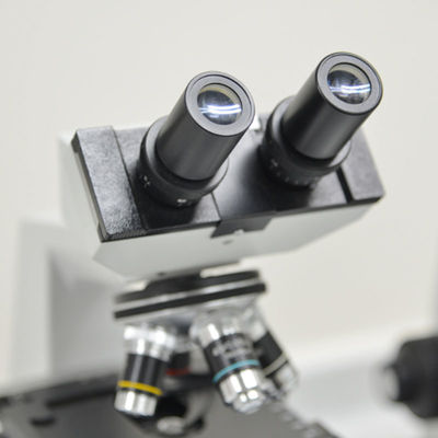 Iso ISO8124 15189 аттестовал обслуживания лабораторных испытаний забавляется обслуживание удостоверения подлинности третьей стороны теста