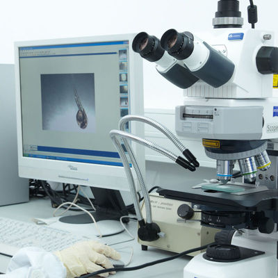 Аттестация лаборатории CE Iso обслуживает обслуживание удостоверения подлинности третьей стороны электробритвы GTS