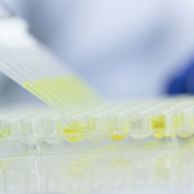 Обслуживание удостоверения подлинности третьей стороны лабораторий обслуживаний испытывая лабораторий стекла еды аккредитированное Управлением по санитарному надзору за качеством пищевых продуктов и медикаментов